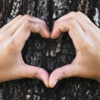 Zwei Hände formen ein Herz vor der Rinde eines Baums