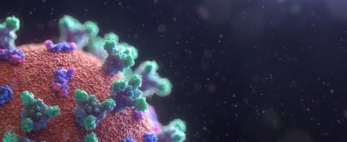 Farbbild eines Corona-Virus