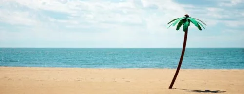 Eine einzelne Palme, die am Strand steht, im Hintergrund das Meer