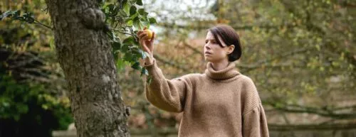 Jessie Buckley greift nach einem Apfel am Baum (Szenenbild aus Men)